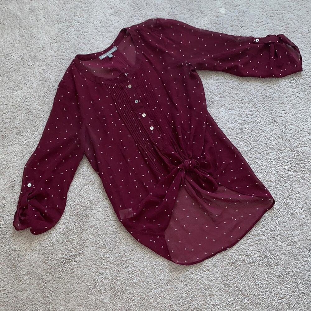 Daniel Rainn Sheer Polka Dot Blouse Sz S